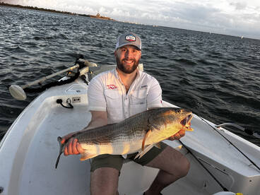 Shark and Bull red trip