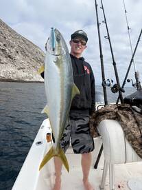 Another day of yellowtail action
