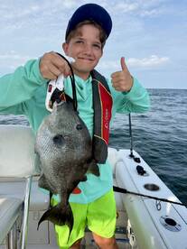 Gulf Breeze Report Photo 1