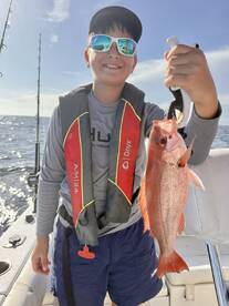 Gulf Breeze Report Photo 1