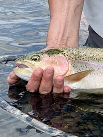 Yellowstone River Fishing Report