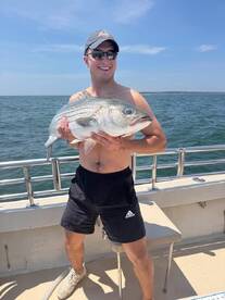 Montauk Report Photo 2