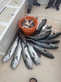 July 7th Fishing Report 