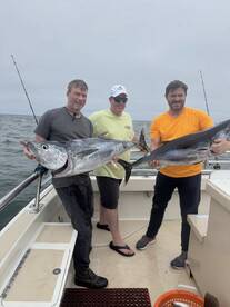 Montauk Report Photo 2