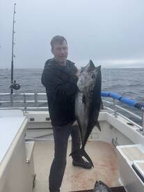 Montauk Report Photo 1