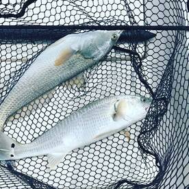 Holiday Report Photo 1