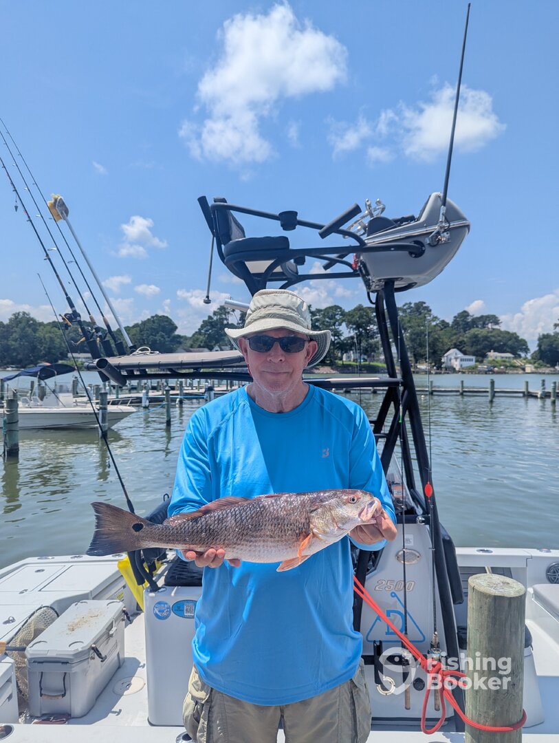 Saluda Report Photo 0