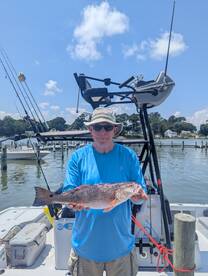 It may be hot outside but the bite been 