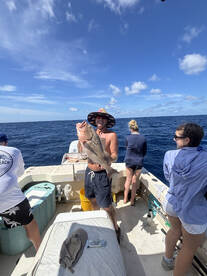 AMERICAN Red Snapper, Red Grouper, Mahi 