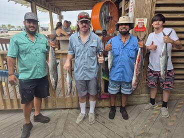 The mackerel are biting!!!