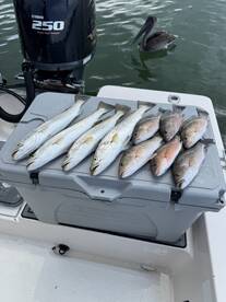 A gust of Wind would be Nice!! 