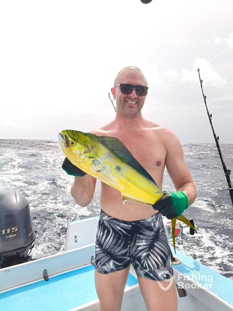 Playa Del Carmen Report Photo 0