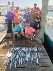 Lots of Spanish Mackeral