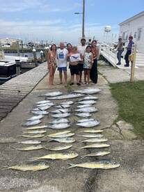 Tuna, wahoo , Mahi and more 