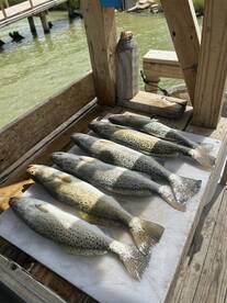 Explore South Padre's Waters: A Multi-Te