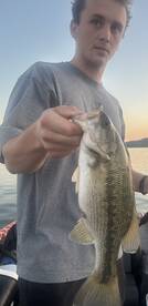 Branson Report Photo 1