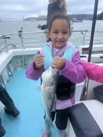 San Francisco Report Photo 1