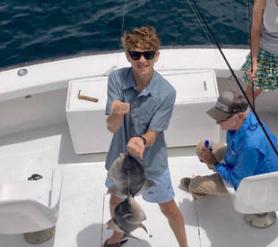  Big blues triggers sharks Spanish Macs