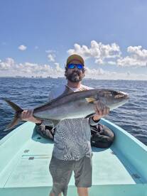 Amberjacks catch and release with Almaco