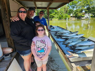 Shady Side Report Photo 2