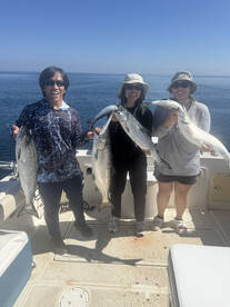 Had a good day this morning!!