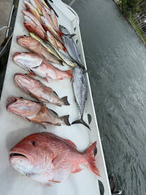 Englewood Report Photo 2