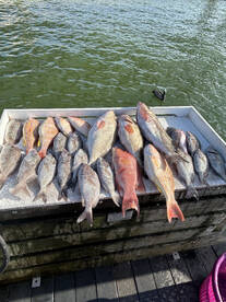 Its hot but the fishing is on fire!