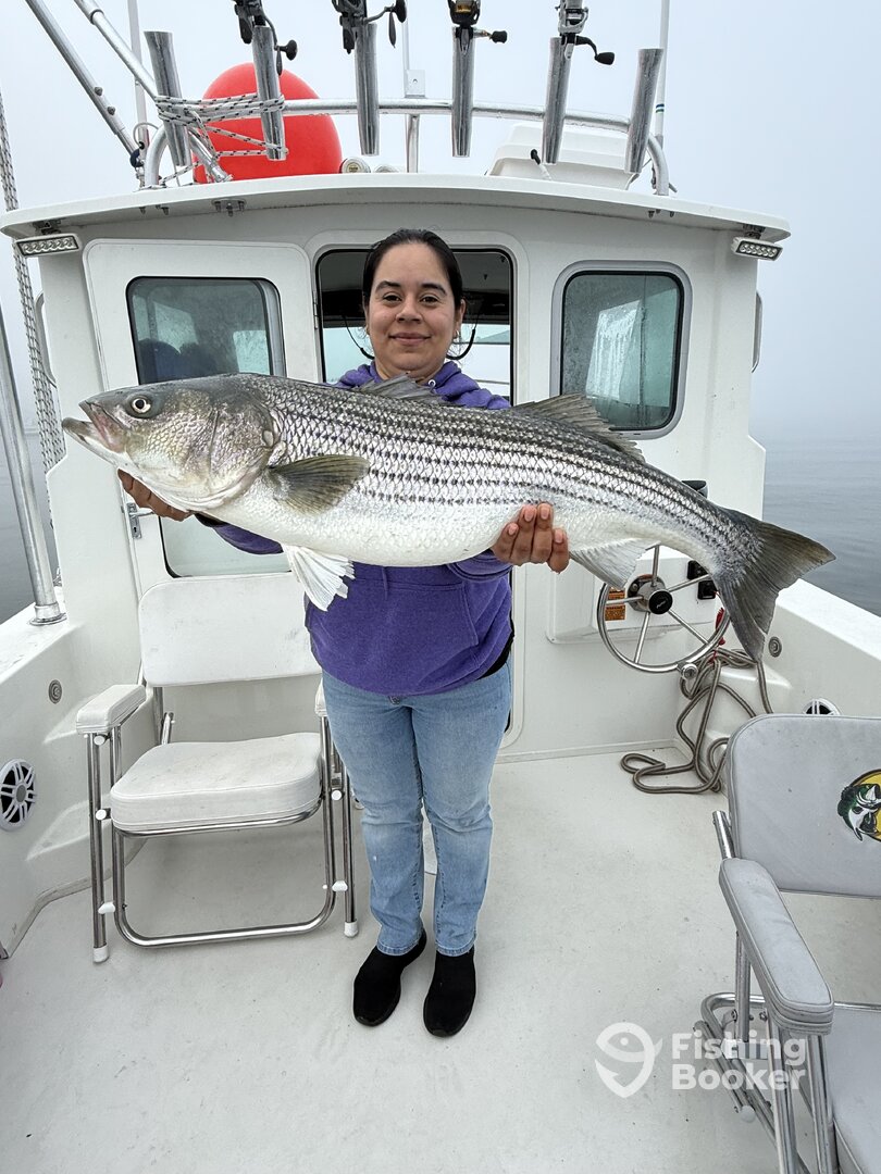 Salem Report Photo 0