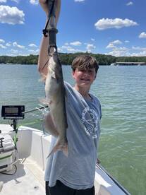 North Georgia Report Photo 1