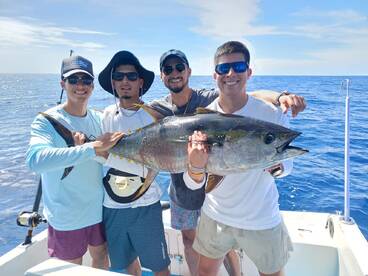 Offshore action! Big Yellowfin Tuna haul