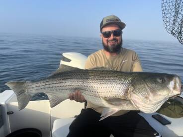 Newport Report Photo 3