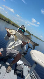 Snook session