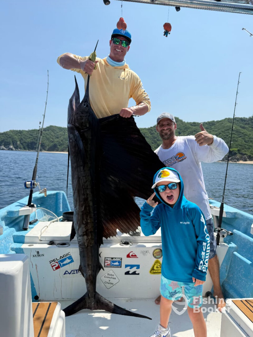 Puerto Vallarta Report Photo 0