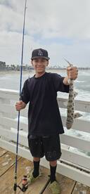 San Diego Report Photo 2