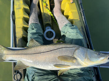 Snook, Tarpon, and Summer Heat 