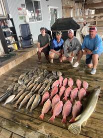 Venice Report Photo 2