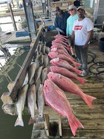 Foto Report Venice 1