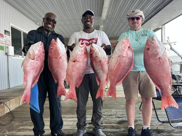 RED SNAPPER SHOW DOWN