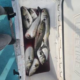 Boys day on the Chesapeake Bay 