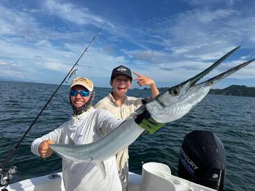 Fish, fish and more fish