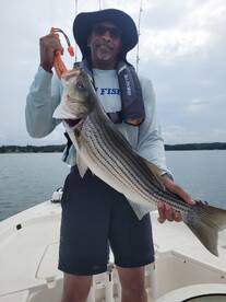 Gainesville Report Photo 2