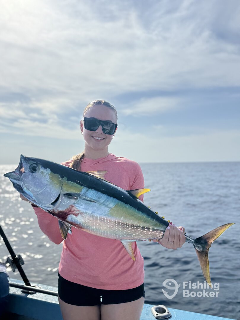 San Jose del Cabo Report Photo 0