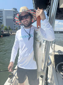 Ocean City Report Photo 2