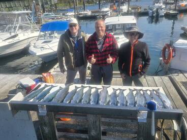 A whole pile of fish.