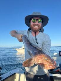 Campbell River Report Photo 2