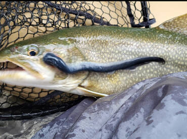 Another great trip on Lake Champlain.