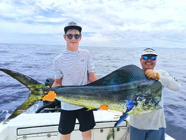Bull mahi on season