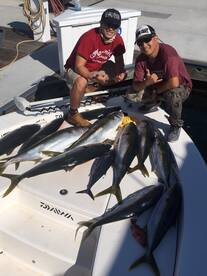 Long Beach Report Photo 2