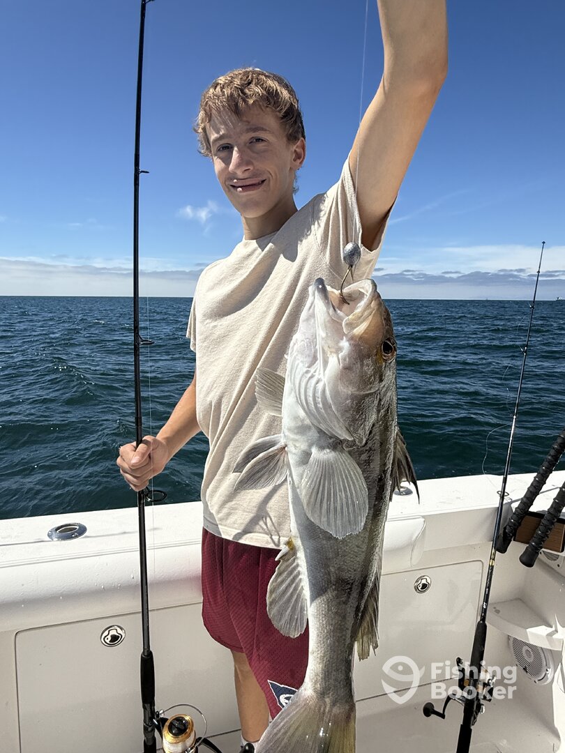 Huntington Beach Verslag Foto 0