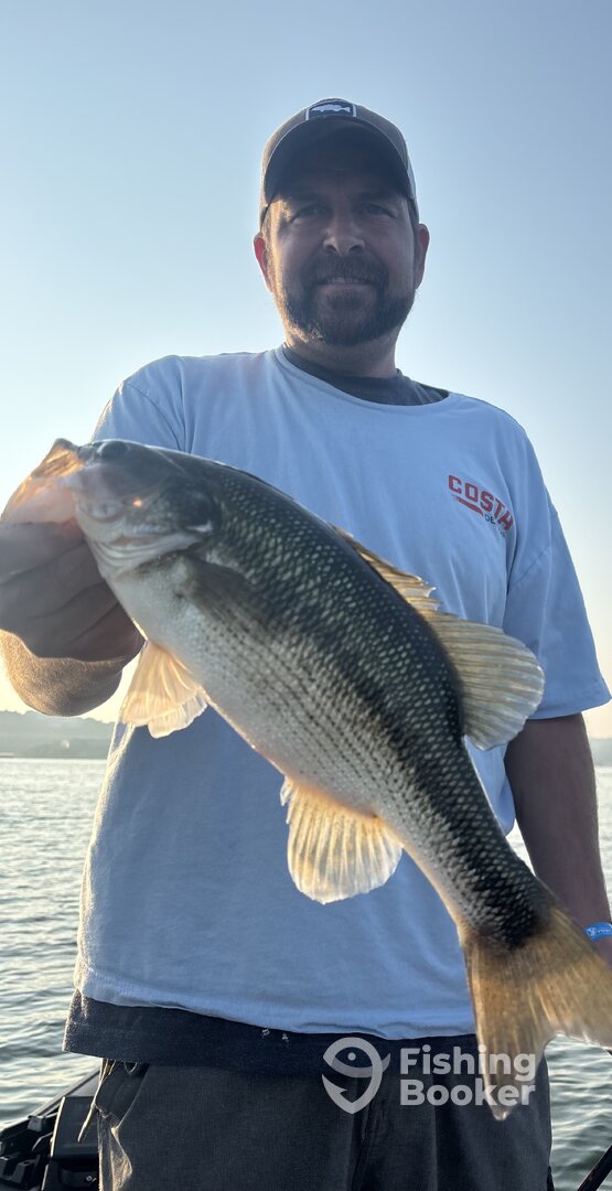 Branson Report Photo 0